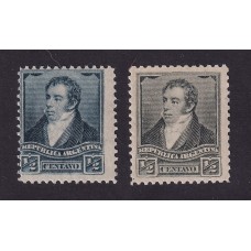 ARGENTINA 1896 GJ 190A LAS 2 ESTAMPILLAS NUEVAS CON GOMA EN AMBOS COLORES SEGÚN CATALOGO AZUL PIZARRA Y AZUL GRIS U$ 25